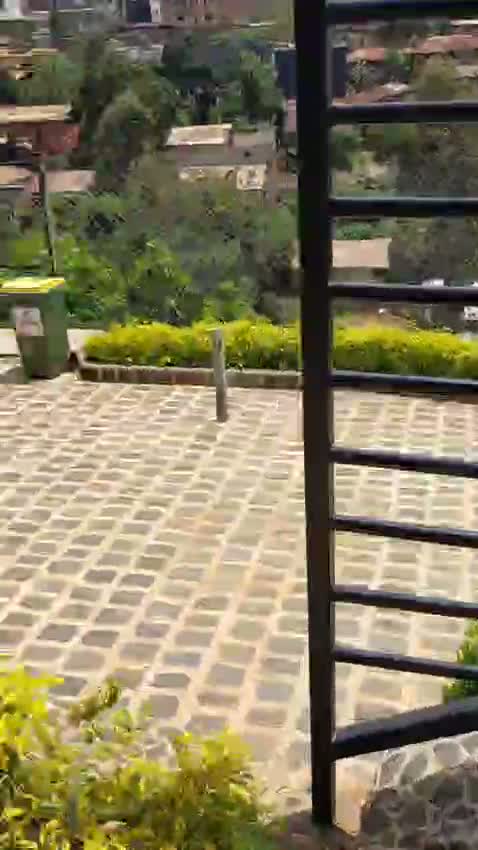 Découvrez Panorama P en vidéo